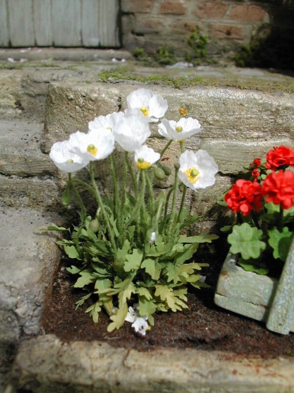 Miniature blomster KIT til Sibirisk Valmue