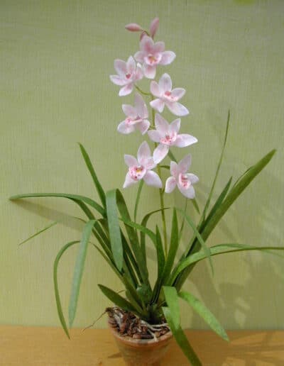 Miniature blomster KIT i lyserød