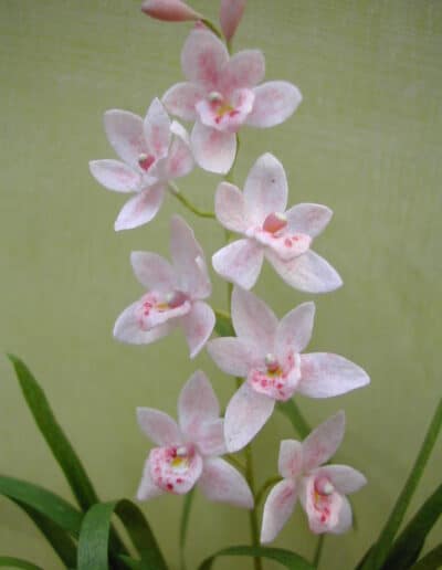 Dukkehus blomster KIT til at lave en lyserød orkide