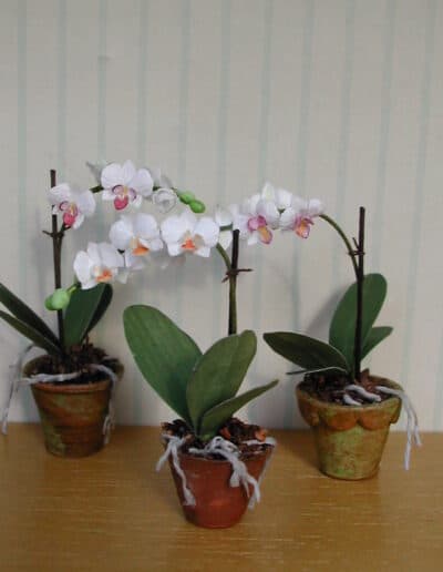 KIT til dukkehus orkide