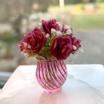 Miniature rose Kit til Cyklamen farvede roser