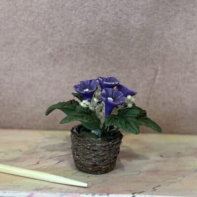 Blomster plante i violet
