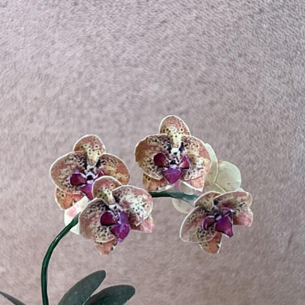 Dukkehus Orkidé i rosa