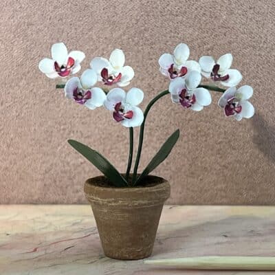 Miniature Orkidé plante i hvid til dukkehus