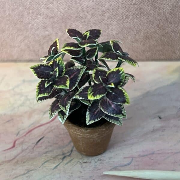 Miniature potteplante med Paletblad