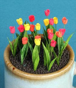 Tulipan miniature blomster KIT - mal dem selv i lige den farve du vil have