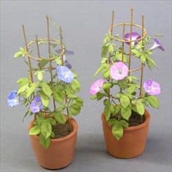 Snerle miniature blomster KIT