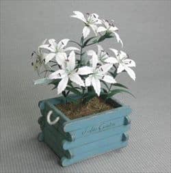 Orientalsk lilje miniature blomster KIT