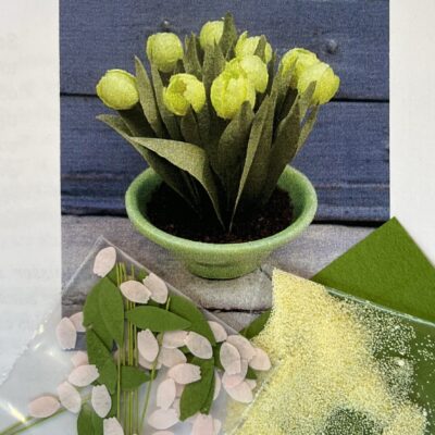 Miniature tulipan blomster kit