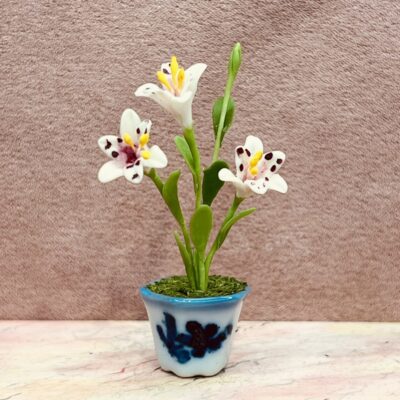Tigerlilje - Miniature blomster i urtepotte