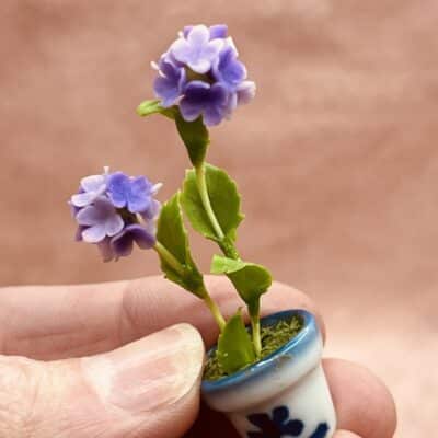 Hortensia blomster i miniature