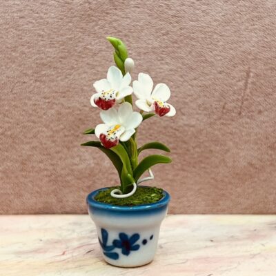 Hvid Miniature Orkide