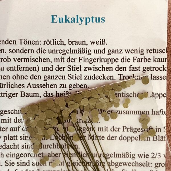 Eukalyptus blomster KIT